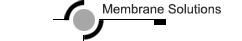 msf